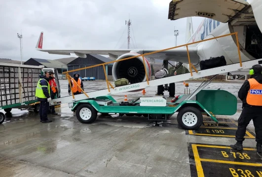 El Gobierno autorizó la privatización total de Intercargo