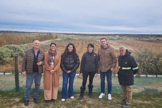 Rawson fomenta el cultivo de la Salicornia