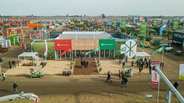 El financiamiento para el sector agropecuario crece fuerte y se esperan más cosechas récord