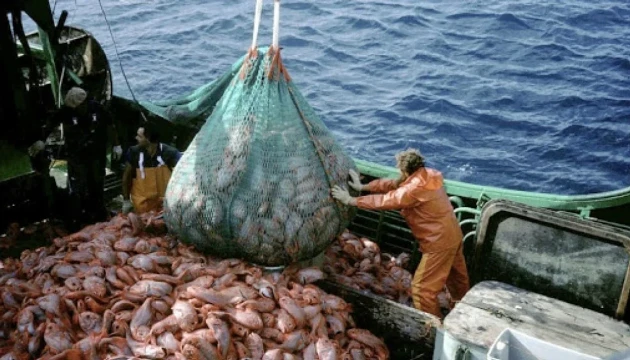 Las oportunidades laborales del 2025 vienen del comercio, el agro y la pesca