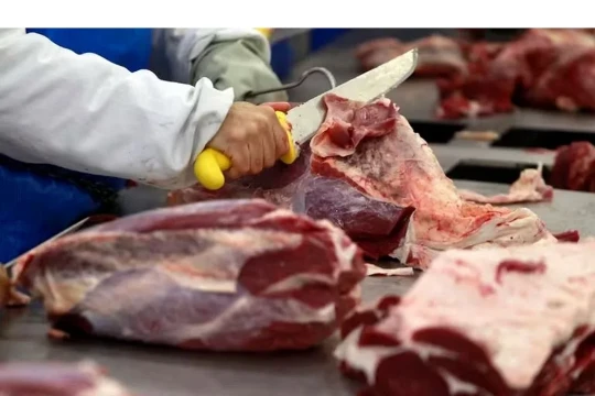 El consumo de carne vacuna en Argentina sigue siendo uno de los más bajos de la historia