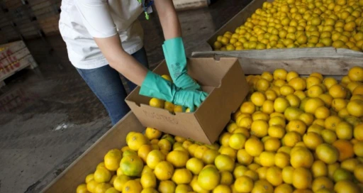 Los limones argentinos consiguen nuevo mercado pero a la carne se le cierran puertas