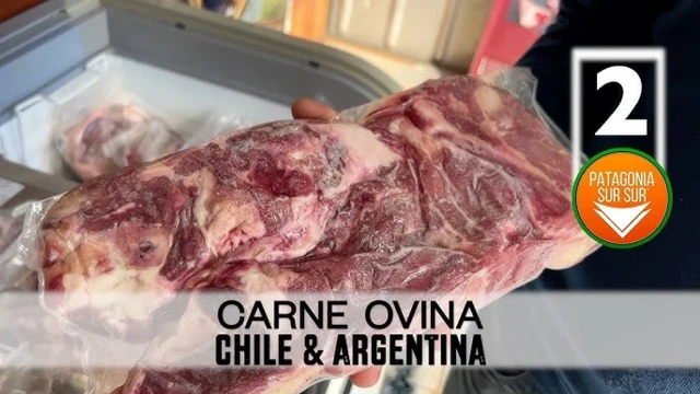 Dura respuesta de Chile a una medida del Gobierno: prohíben la carne argentina por temor a la aftosa