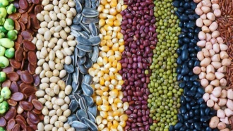 Rawson entrega las primeras semillas del programa “ADER en la mesa”