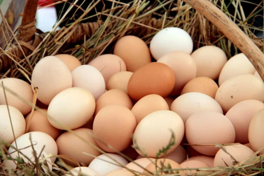 Increíble repunte: la Argentina ya es el primer consumidor mundial de huevos