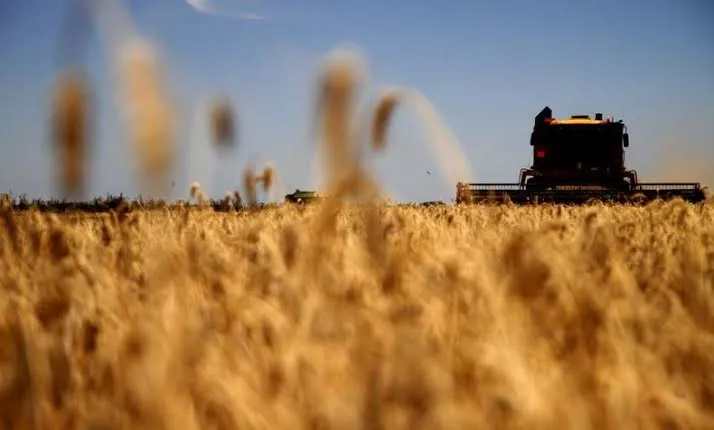 Nuevo récord de exportaciones agroindustriales en los primeros 8 meses del año