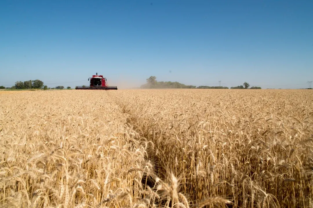 Las exportaciones agroindustriales alcanzaron un récord histórico en el primer cuatrimestre al crecer 18%