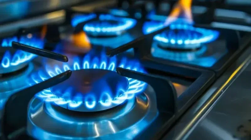 Reglamentan Zona Fría: qué cambia para las distribuidoras y qué zonas quedan excluidas del beneficio