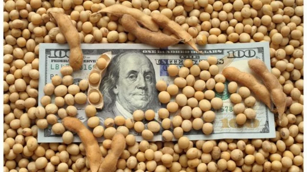 Soja y maíz impulsan aumento en previsión de exportaciones