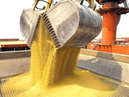 La agroindustria exportó casi USD 27.000 millones en el primer semestre