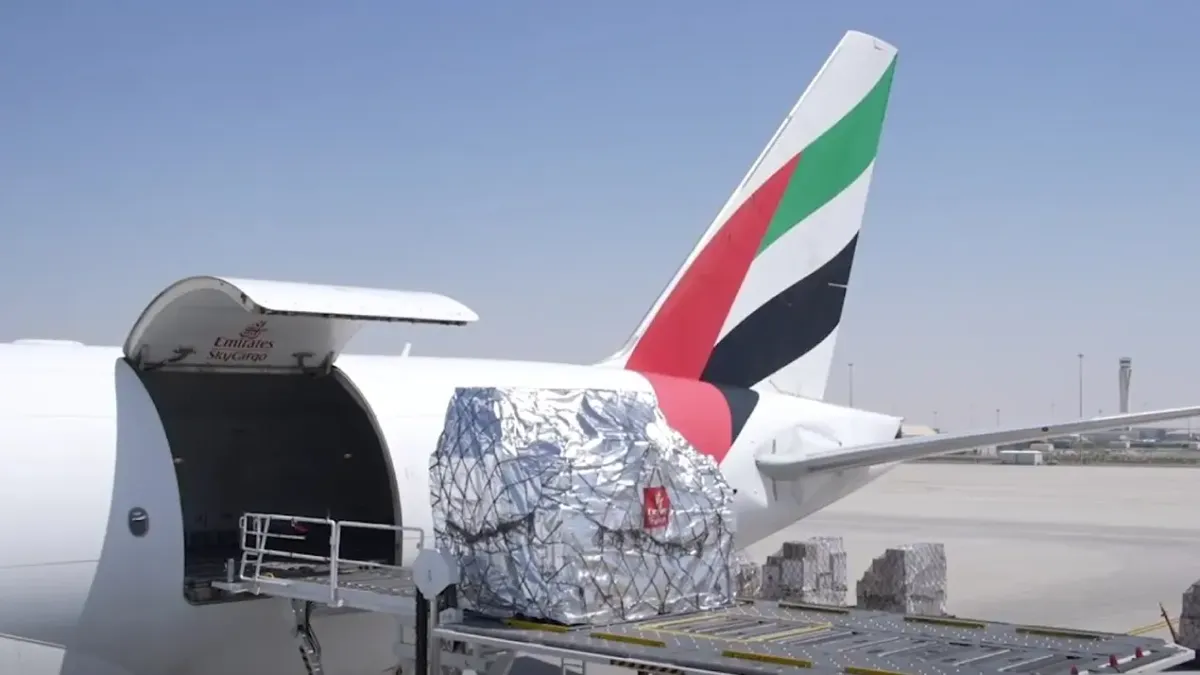 Nueva aerolínea de alto nivel mundial exportará productos de PyMes argentinas