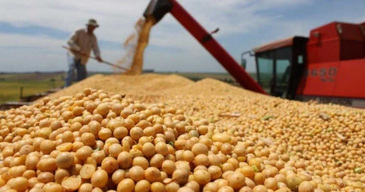 Impacto en el agro por la Guerra en Medio Oriente: el precio de la soja sube 4% a US$444